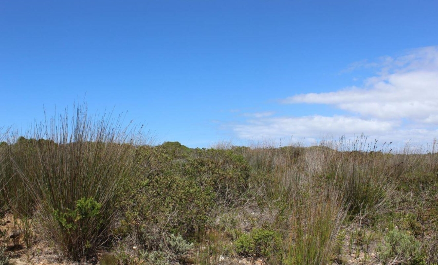 0 Bedroom Property for Sale in Stilbaai Wes Western Cape